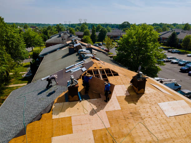 Residential Roof Replacement in Sawgrass, FL