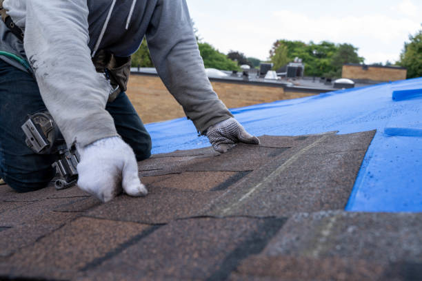 Roof Gutter Cleaning in Sawgrass, FL